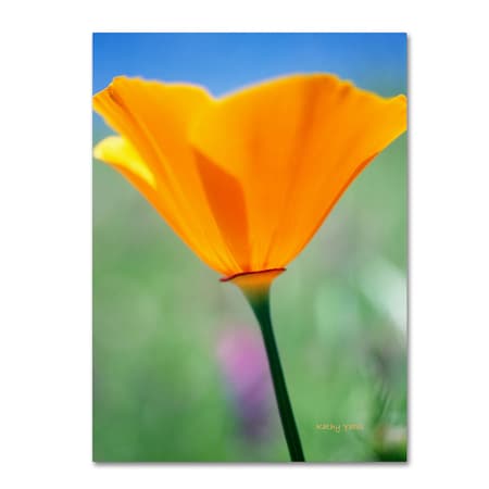 Kathy Yates 'California Poppy Closeup' Canvas Art,16x24